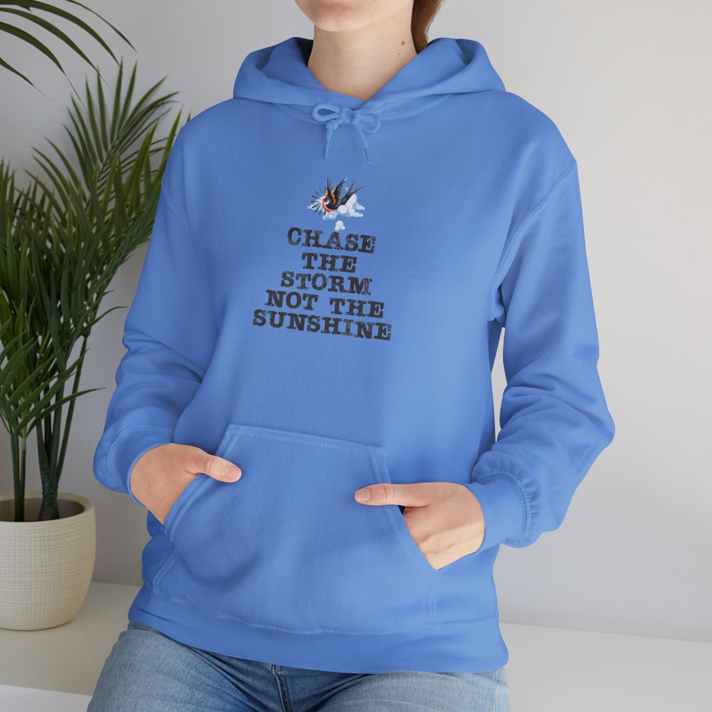 Chase The Storm Hoodie