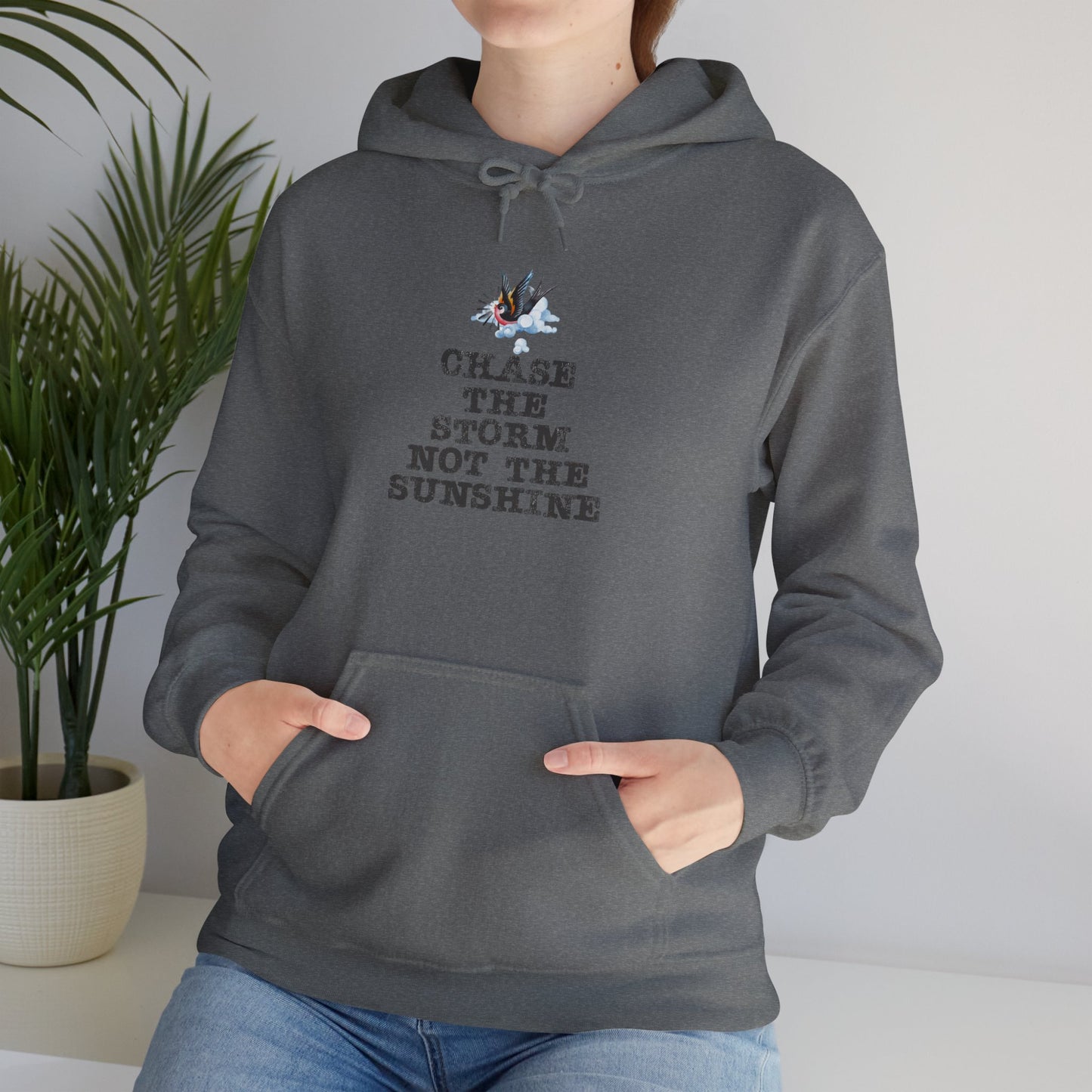 Chase The Storm Hoodie