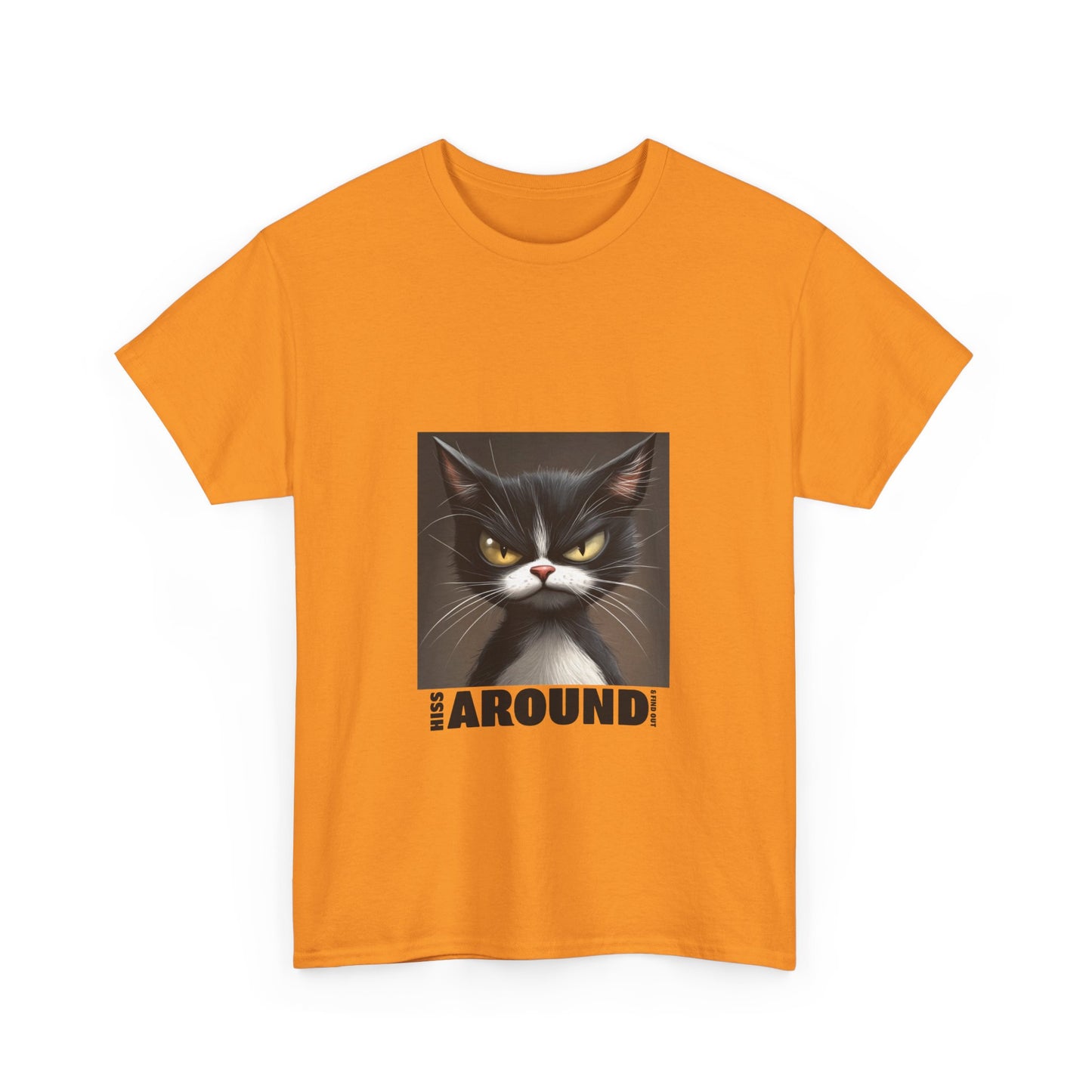 Hiss Around & Find Out Tuxedo Cat Funny Tee - Unisex Heavy Cotton