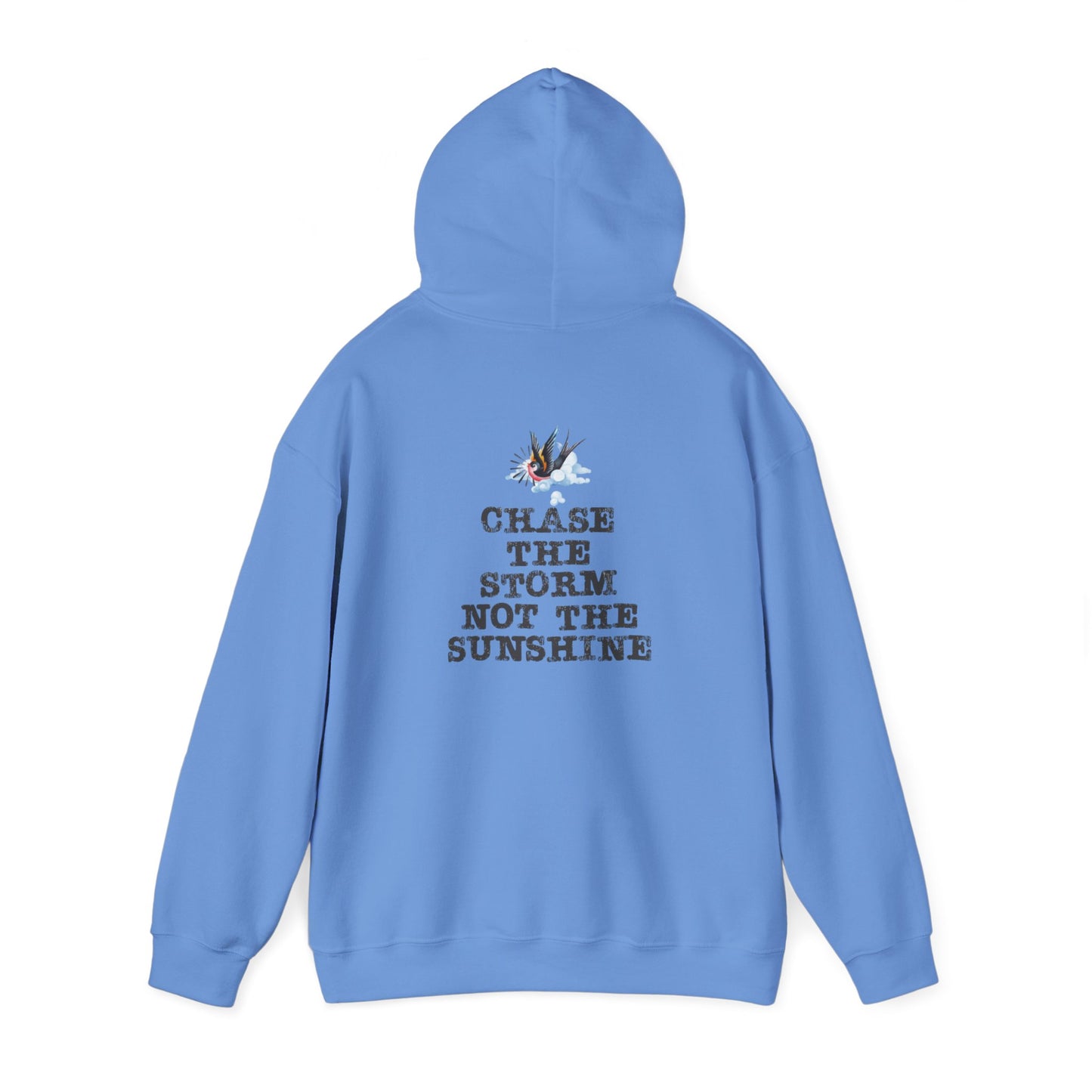 Chase The Storm Hoodie