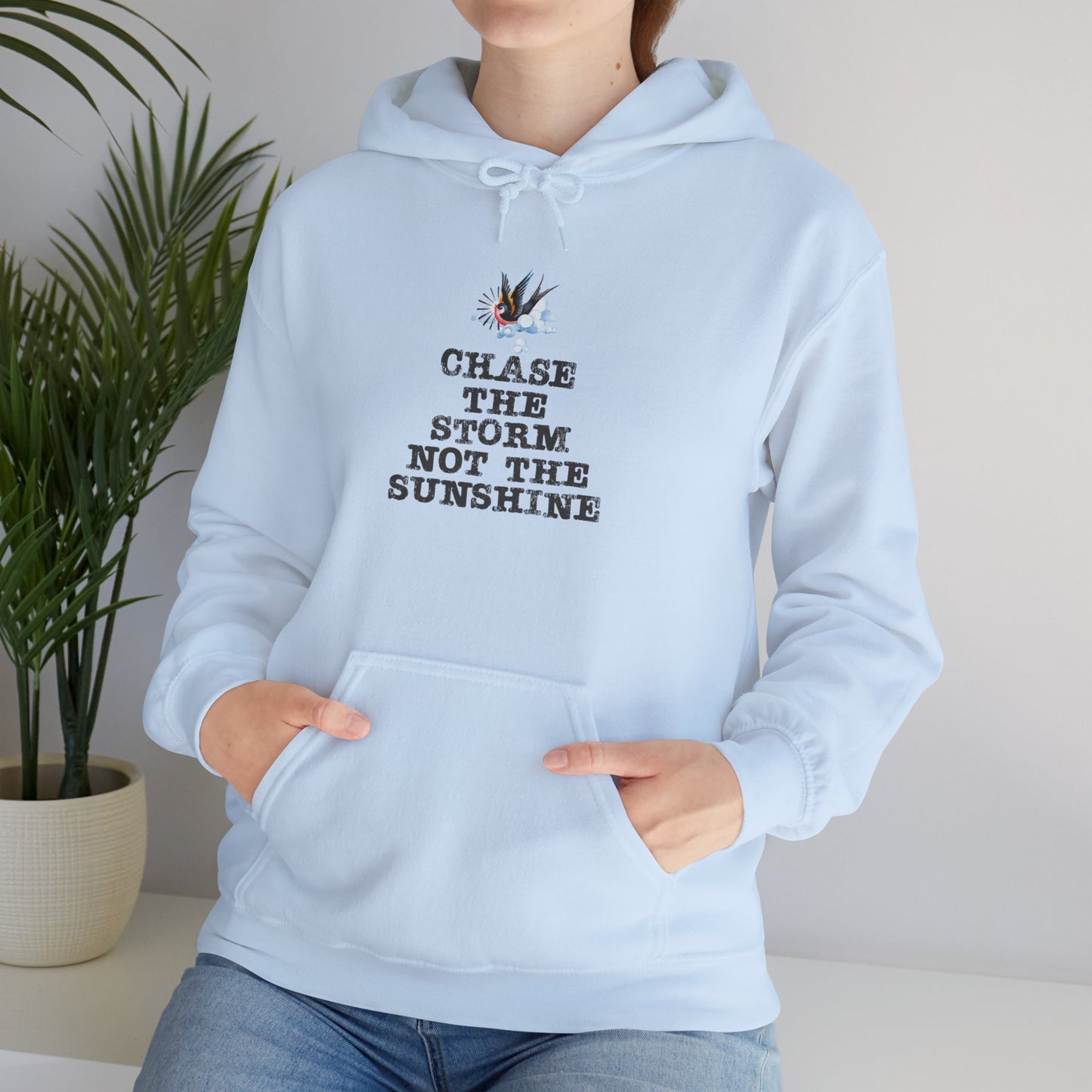 Chase The Storm Hoodie