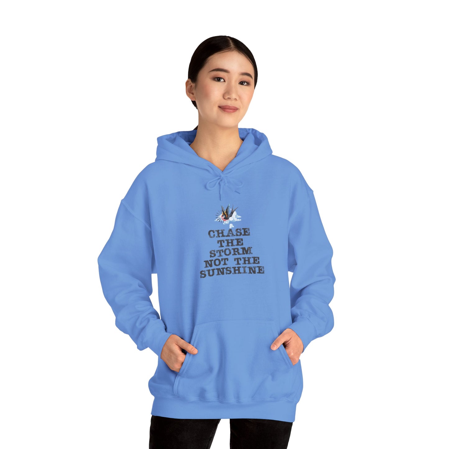 Chase The Storm Hoodie