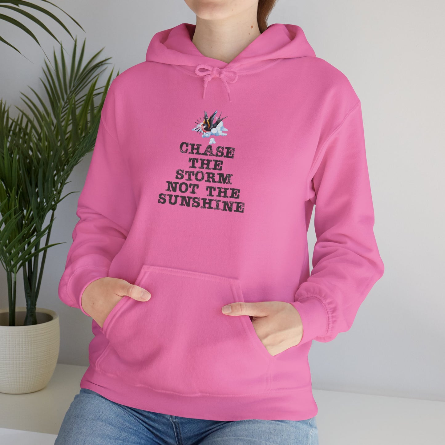 Chase The Storm Hoodie