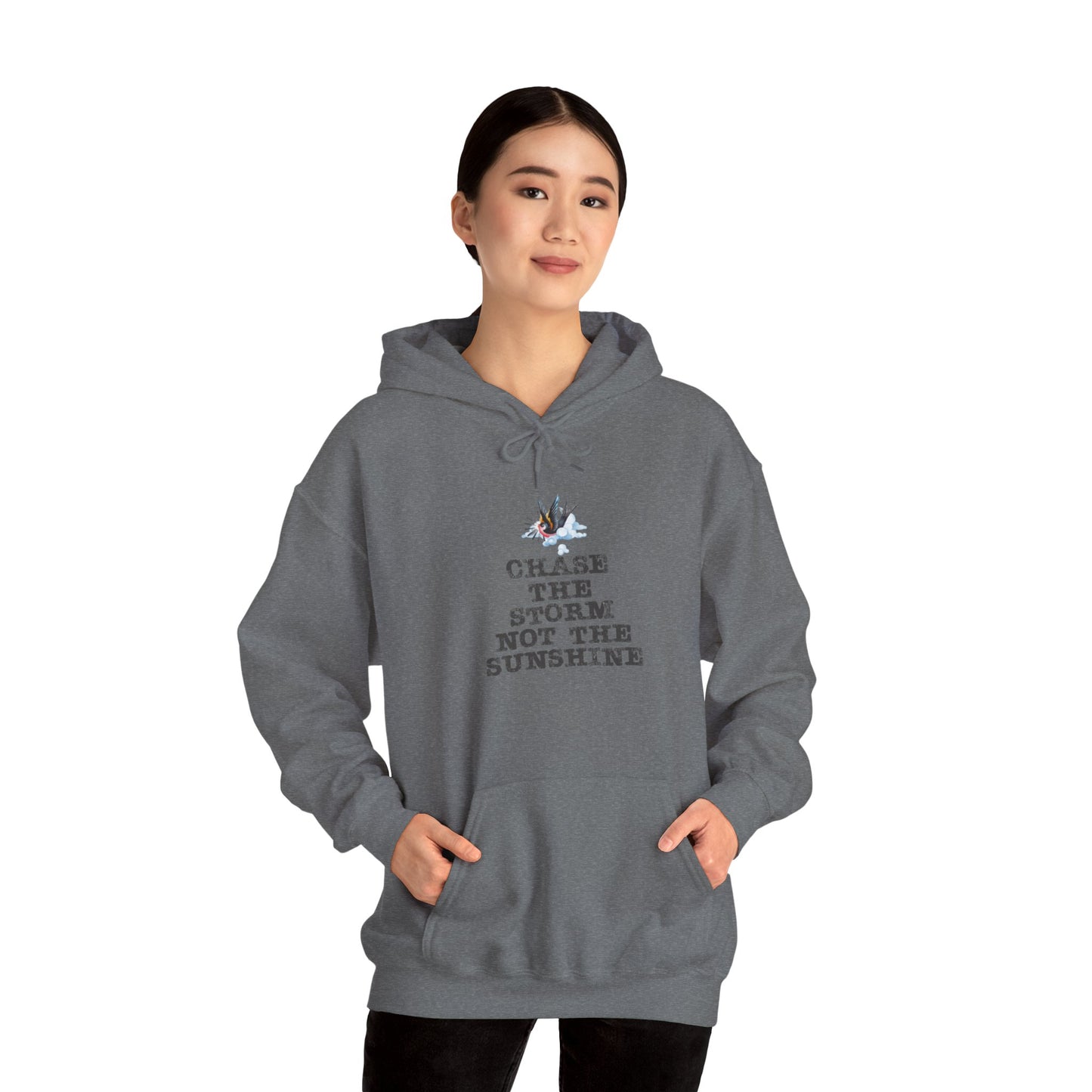 Chase The Storm Hoodie