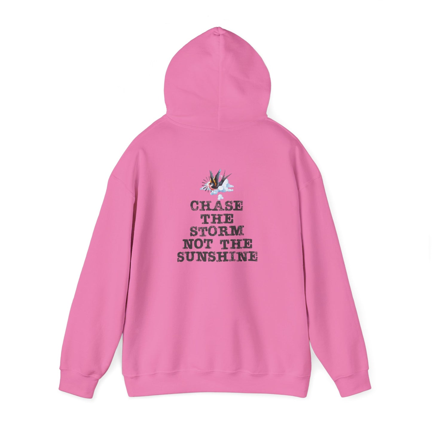 Chase The Storm Hoodie