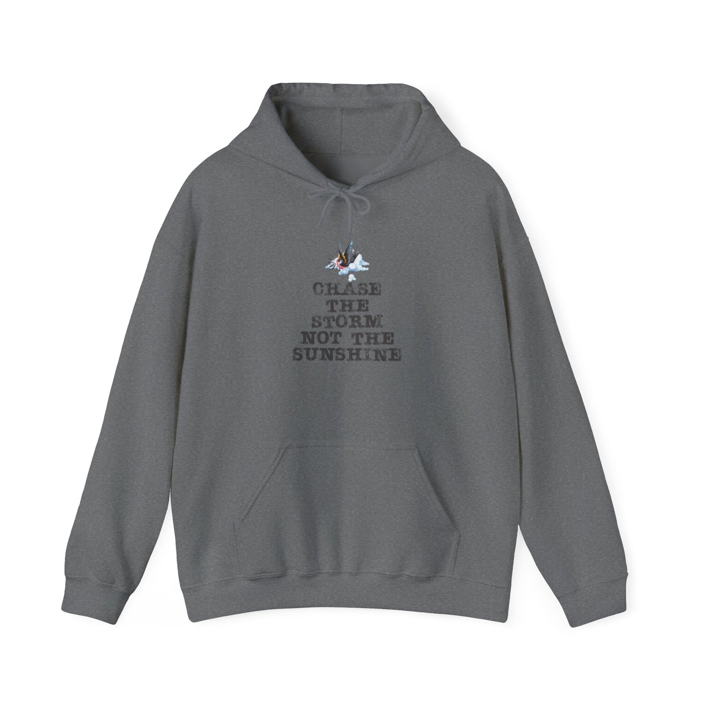 Chase The Storm Hoodie