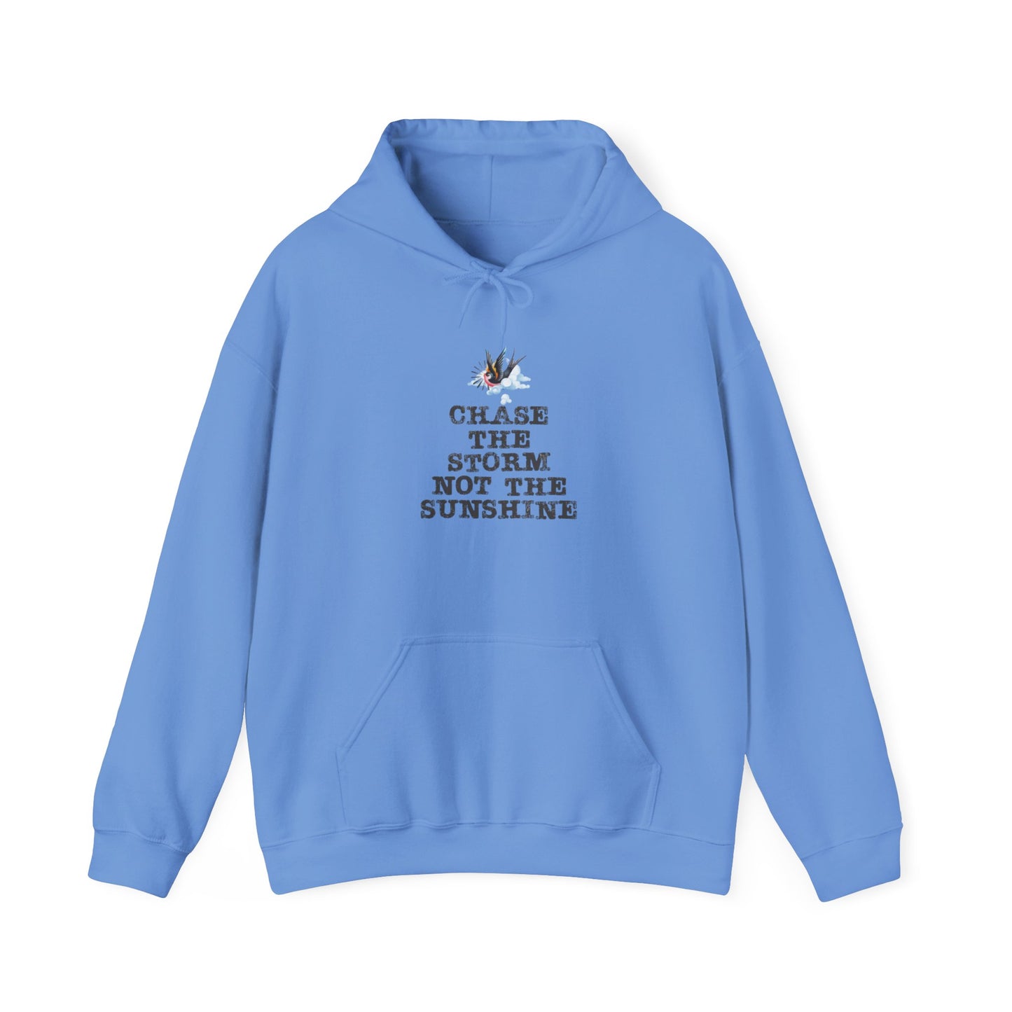 Chase The Storm Hoodie