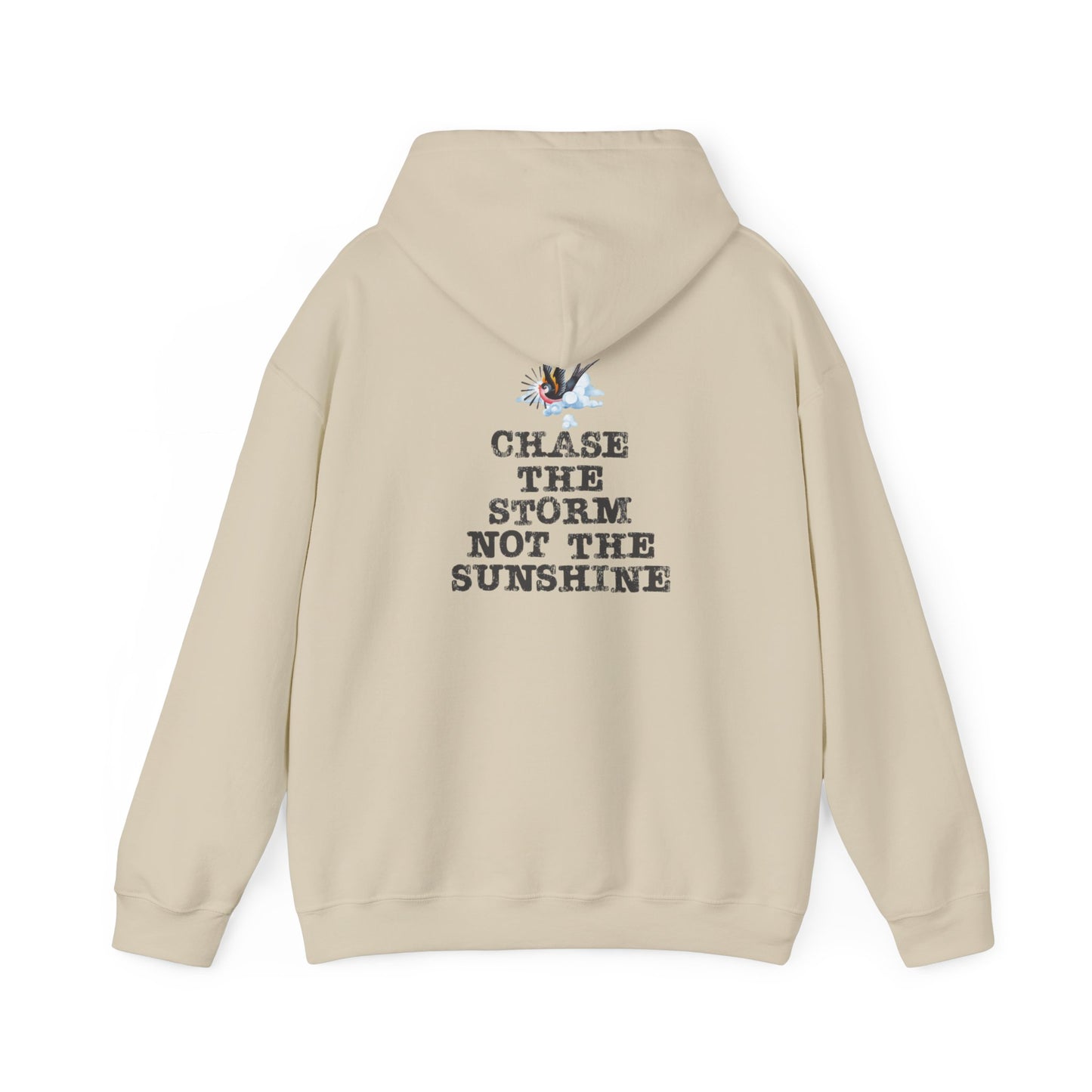 Chase The Storm Hoodie